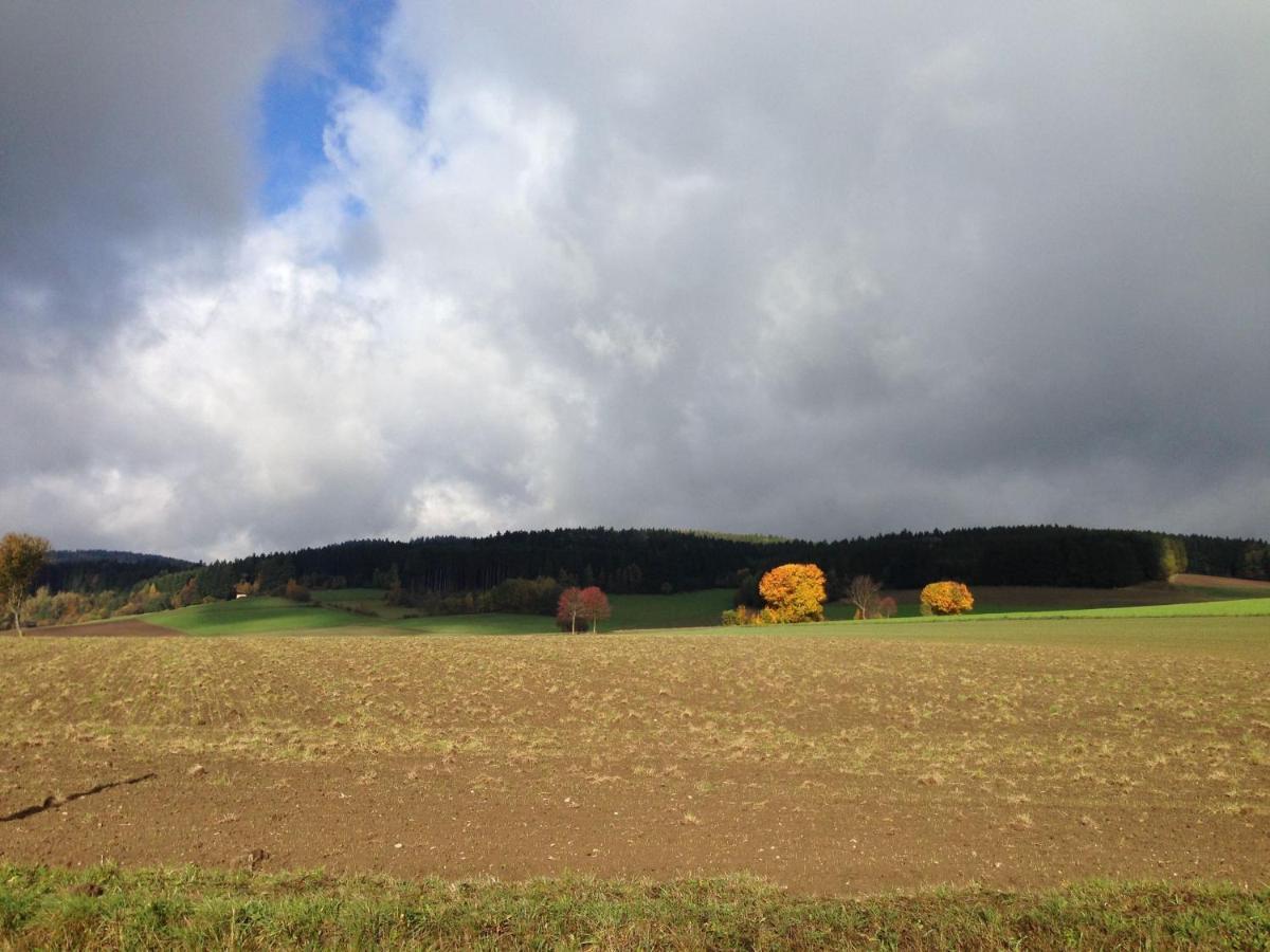 Cozy Pet Friendly Holiday Home In T Nnesberg Tännesberg 외부 사진
